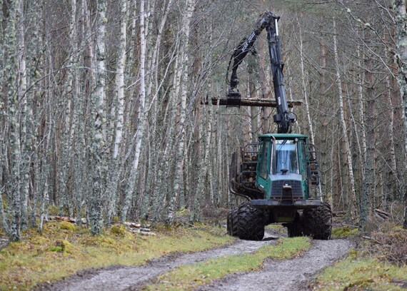 Northwoods Logging Services